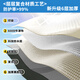 Explorer (TAN XIAN ZHE) tent outdoor camping tent rainproof overnight 3 people-4 people tent sky curtain two-in-one fully automatic vinyl tent 3-5 people vinyl sunshade tent [high efficiency sun protection]