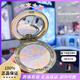 E gros gâteau japonais E Big Powder Small and Medium Sampable Package Portable 4.8g Huanyan Honey Powder E Big Set Makeup Loose Powder Control Essai de longue durée N ° 4 N ° 4 PEARLESCENT 8.8G - ENVOYER ÉCHANGE DE REGSTICK pour peindre les gens