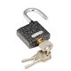 Plum blossom (BLOSSOM) padlock warehouse school home door lock indoor and outdoor anti-theft lock copper core anti-rust lock 38mmBC1338