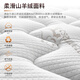 金丝海马床垫海马床垫天然乳胶独立弹簧床垫席梦思环保椰棕软硬两用可拆洗 乐享款20软硬适中:加固弹簧+乳胶 1350*2000