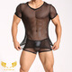 Jilu erotic thong, men's breathable and sexy styling, mesh suit, body beauty mesh solid color short sleeve suit, exciting, maroon S