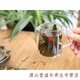 Money Green Willow Té Centennial Tree Money Green Willow Té de té de té de hoja Money Willow 500G