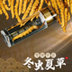 Nagqu Cordyceps Cordyceps Cordyceps Tibetaner Nagqu Cordyceps 2 Stücke Trockenwaren Cordyceps Geschenke 50 Geschenkboxen 50 Geschenkboxen;