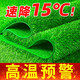Elegant simulated artificial turf paving roof insulation fake turf plastic mat glass sun room outdoor balcony carpet special density 2cm spring grass 1m wide * 25m long