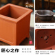 Tangshan Yunsong ist ein authentisches Tangshan-Zwerg-Literaturbüro Bambus ist gut für den Anbau von grünem Desktop Bonsai 12023 Original Pot Tangshan Yunsongong 5-jährige Bonsai eignet sich gut zum Pflanzen mit Töpfen.