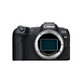 佳能（CANON）EOS R8 全画幅微单相机 vlog拍摄数码高清旅游4K 直播照相机 r8专业级 R8单机+RF24-105 STM标准变焦 入门基础套餐一【含入门基础配件等 再送699礼】