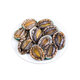 One piece of fresh small abalone (18-20 pieces/500g)