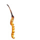 Luzhangtang auténtico Cordyceps de verano Cordyceps Cordyceps Authentic Big Broken Grass Dry Goods Compre 10 piezas Obtenga 1 pieza en el Tíbet auténtico Auténtico Naqu Premium Big Broken Grass 1 Gram Pack (1 gramo de paquete)