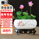 Jiuqianggu Céramique Pot de fleur narcisse bassin eau Lily bol lotus cuivre herbe hydroponique hydroponique fleurs d'élevage de fleurs de fleurs vertes pot avec base 3888