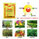 Senhuo Jinbang Zheng's Chemical 8% Aminobutanol Fruit Tree Garden Seedlings Vegetables Flowers Citrus Rooting Preservation Fruit Expansion Coloring Promotes Cell Division Growth Regulator 50g/bag*20 bags