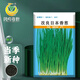 Fengming Yashi single-rooted shallot seeds field planting four-season balcony seeds potted single-rooted delicate shallot seeds 10g