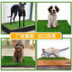 Guanxiang bird dog peeing toilet fake lawn pet peeing fake turf simulated lawn mat urinating carpet floor mat 20mm antibacterial high-efficiency urine grass 50cm*60cm