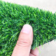 Duoxiu artificial lawn carpet plastic fake turf artificial turf balcony outdoor artificial turf kindergarten fake turf 20mm newly upgraded raw material 5A grade spring grass/50 square meters high grade
