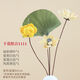 Love the bouquet of dried flowers, real flowers, dried lotus roots, natural decoration ornaments, lotus pods, flower arrangement, living room decoration, Buddhist Zen lotus, dried flower combination 1105 (without vase)