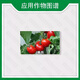 Guoguang Buluo Fangsu 24 2,4-D sodium salt plant growth regulator 2.4-d tomato flower and fruit 1g*20 bags