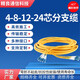 YZJLTX 4/8/12 core 24 core beam-shaped tail fiber SC square head to LC-FC-ST multi-core single-mode cluster fiber optic cable fiber jumper tail cable Custom 4 core single-mode cluster branch jumper 100m