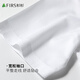Shanshan [DP Free Ironing] 80 Coton Pure Coton Short à manches courtes pour hommes Casual Stripes Casual-Friendly and Anti-Wrinkes Men's Shirt