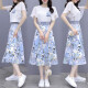 
Pure skirt summer chiffon dress 2023 summer new women's clothing temperament French slimming waist-hugging suit trend 9767 blue L