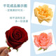 HaLODN [On the same day/next day] Flower desiccant handmade DIY dried flower desiccant immortal flower specimen dry sand Flower desiccant 1Jin [Jin equals 0.5 kg] Set [dry box + sand-drying spoon + small brush]