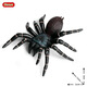 Simulated rubber spider Halloween prank toys Simulated spider poisonous spider insect animal model children's toys Ox-684 Brazilian red velvet spider 0.009KG