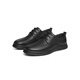 Red Dragonfly Casual Lederschuhe 2025 Frühling Neue Herrenschuhe Schafkinne bequeme Spitzenschuhe Business Commuter Lederschuhe WTA15123 Black 41
