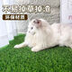 Guanxiang bird dog peeing toilet fake lawn pet peeing fake turf simulated lawn mat urinating carpet floor mat 20mm antibacterial high-efficiency urine grass 50cm*60cm