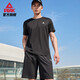 Peak Schnelltrockner Sportanzug Herren Sommer Running Casual Badminton Uniform atmungsaktive zweiteilige kurzärmelige Shorts Männer DF142001