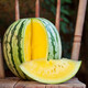 Shouhe Yellow Flesh Watermelon Seeds Yellow Heart Gift Type Yellow Flesh Shouguang Melon Winter and Spring Home Garden Melon Seeds Yellow Flesh Xiaolan Watermelon Seeds 10 capsules x 3 packs