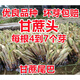 Jingyu Sugarcane Head Sugarcane Seedlings 10 Roots 4 to 7 Buds Each Root Authentic Guangxi Black Sugarcane Red Sugarcane Purple Sugarcane Tips Golden Sugarcane Seed (Yellow Sugarcane) 50 Roots
