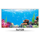 JPHZNB Fondo de pescado Pegatina Pegatina Pegatina Pegatina Océano Underwater World Front with Glue Red Dragon Fish Blue HD HY1105 30 cm de largo x 20 cm de alto Glue positivo