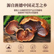 李良济【官方直售】破壁灵芝孢子粉/软胶囊 蓝帽认证营养品送礼有机种植 2盒装（1g*60袋/盒）