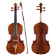 FINELEGENDO Violín hecho a mano Adulto Introductory Introductory Premio de examen de grado para 5 años Secado natural Panel de clase A Matte L4 1/4