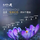 甄品岛 ZHENPDO【买花送种球】上海崇明特产藏红花 藏红花正品 特级藏红花西红花 大众伴手礼1.5克