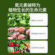 Basemanwei Urea Nitrogen Fertilizer for Flowers, Vegetables and Fruit Trees Organic Fertilizer Nitrogen Phosphorus Potassium Fertilizer Granular Chemical Fertilizer for Vegetable Flowers Urea*5Jin Jin is equal to 0.5kg