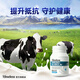 TIMELESS免疫球蛋白片牛初乳助力免疫力抵抗力病毒体质 免疫球蛋白片 两盒装【初期装，建议周期调理】