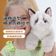 Cometa trapo Ragdoll Cat Plush Toy Doll Doll Doll Adornos almohada Valentín de San Valentín Regalos de curación para novia