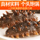 Meifengtang ready-to-eat sea cucumber Dalian individually packaged fresh wild bottom sown Liao cucumber and sea cucumber seafood New Year's goods 16-20 pieces 500g