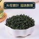 绞股蓝野生特级新疆茶青钱柳平利茶叶中药罗布麻绞股兰 1罐绞股蓝250g