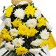Baihua Pavilion Flowers Qingming Festival Chrysanthemums Funeral Ceremony Real Bouquets Funeral Memorial Grave Sweeping Remembering the Revolutionary Martyrs City Delivery Reminiscent of the Past|N34