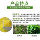 Xinlianxin genuine agricultural urea high-nitrogen fertilizer for vegetables, flowers and fruit trees, general fertilizer, chemical fertilizer, organic compound fertilizer 80 Jin Jin is equal to 0.5 kg Twenty Jin Jin is equal to 0.5 kg Four packages Authentic guarantee