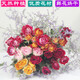 Love Yunnan Natural Rose Dried Flower Bouquet Living Room Decoration Lucky Rose Dried Flower Real Flower Decorative Ornaments Air-dried and Roasted Colored Rose Bubbles Randomly About 30 Heads