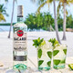 百加得（Bacardi）白橡木心金8年黑朗姆酒烘焙莫吉托mojito750m 【百加得白】* 750mL 1瓶