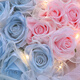 Huawang Flower Express Blumengeschenk gebrochenes Eisblau Rose Bekenntnis zum Liebesgeburtstagsgeschenk meiner Freundin am Tag [rosa blaue Liebe] 16 Broken Ice Blue + 17 Pink Rose Dy690