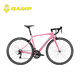 Camp Radon Road Bike Aluminiumlegierung Shuntai 18 Speed ​​Race Race Ring Bremsbremssport Rennsport Carbon Fasergabel Fahrrad Silber 18 Geschwindigkeit 480 Größen