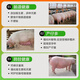 East China Zhengda 4% Pregnant Sow Compound Premix Reproduction Reserve Pregnancy Period Milk Increase Pregnant Sow Special