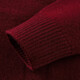 Antonio 100% sheep wool Chinese New Year red series men's lapel Polo sweater cardigan base sweater spring and autumn