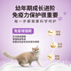 GN cat food kitten cat food 3 weeks to 12 months old 3.5kg immune-enhancing formula upgraded new and old packaging randomly distributed