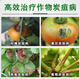 Hulian plant protection pesticide benzochlorid fresh anthracnose special medicine pepper vegetable citrus fruit tree strawberry agricultural sterilization 1000g (6 bottles)