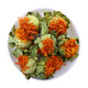 Pékin Tongrentang Tibetan Saffron Fleur et fruits nouveaux matériaux médicinaux chinois fruits séchés au safran d'eau de thé Plantation de safran Fleur entière 500 grammes de fleur de safran et de fruits (nouvelles fleurs grandes)