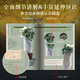 The first volume of the Chinese Museum Complete Book (10 volumes in total) comes with a national treasure book stamp + museum treasure commemorative medal + cultural relic audio + gift box